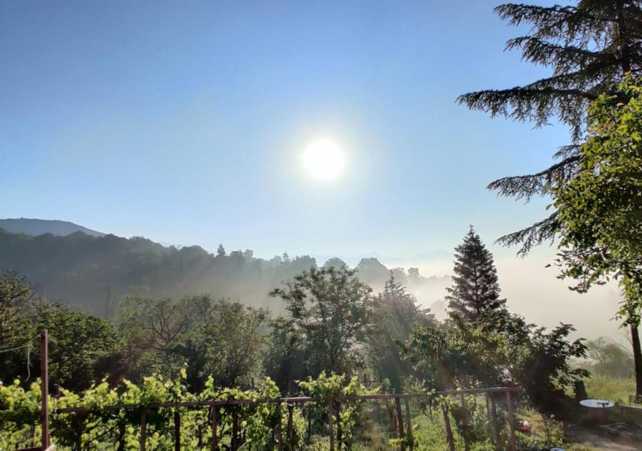 "Il Casaletto" Agriturismo Moderno, Vista Panoramica E Cibo Spettacolare- Scurcola Marsicana Εξωτερικό φωτογραφία