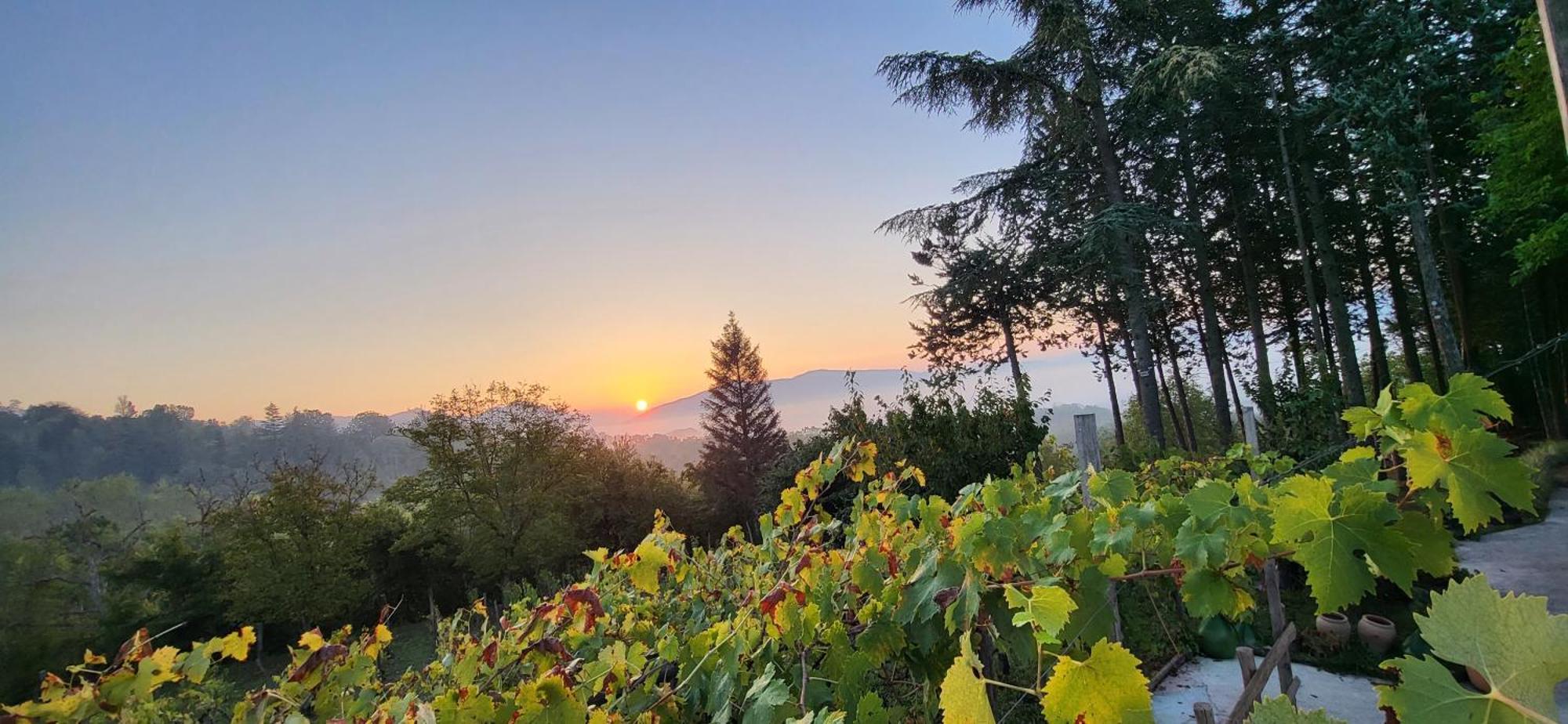 "Il Casaletto" Agriturismo Moderno, Vista Panoramica E Cibo Spettacolare- Scurcola Marsicana Εξωτερικό φωτογραφία