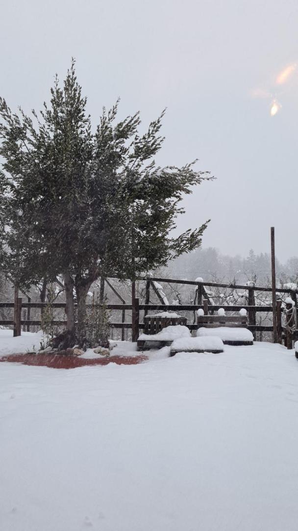 "Il Casaletto" Agriturismo Moderno, Vista Panoramica E Cibo Spettacolare- Scurcola Marsicana Εξωτερικό φωτογραφία